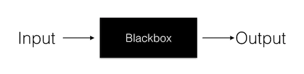 Black Box Testing