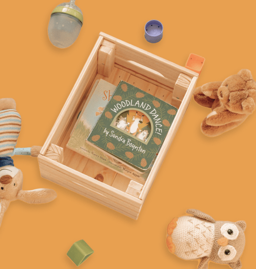 Woodland Dance children's book in a wooden crate on an orange background, surrounded by plush toys.